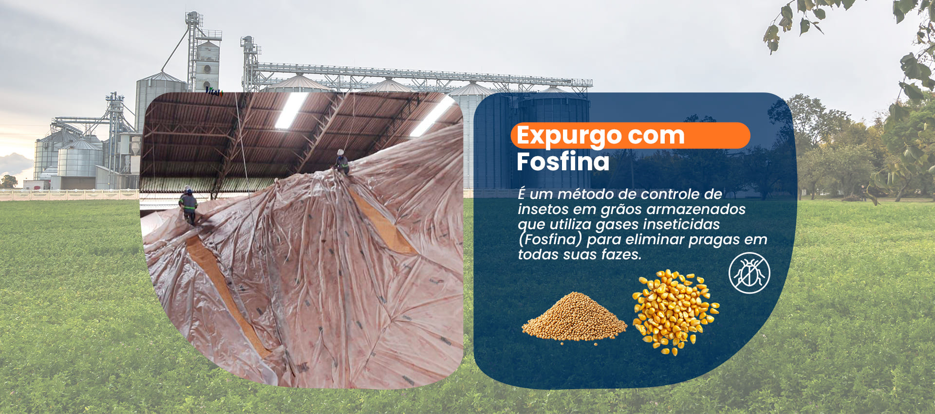 Expurgo